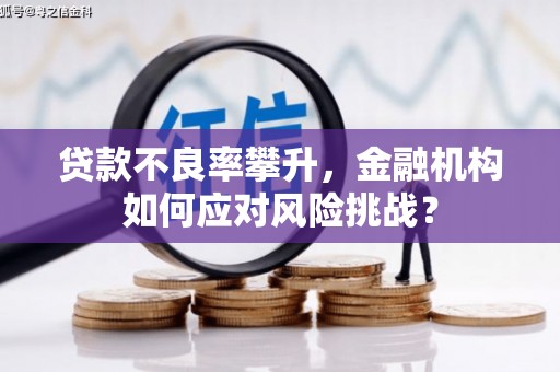 金乡贷款不良率攀升，金融机构如何应对风险挑战？