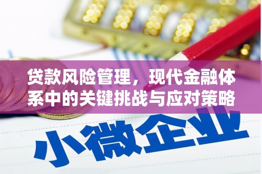 长岛贷款风险管理，现代金融体系中的关键挑战与应对策略