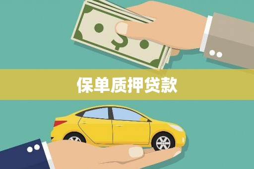 蔡甸保单质押贷款