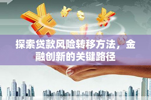 大武探索贷款风险转移方法，金融创新的关键路径