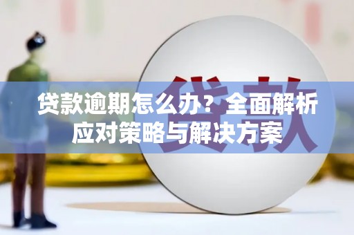 碌曲贷款逾期怎么办？全面解析应对策略与解决方案
