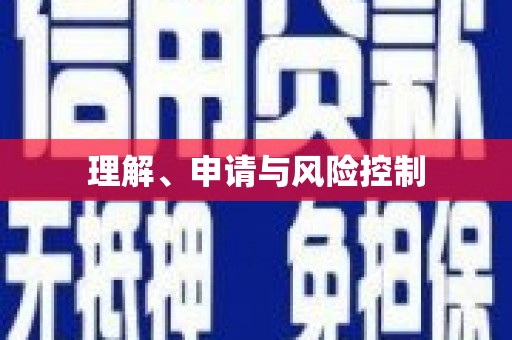 茌平理解、申请与风险控制