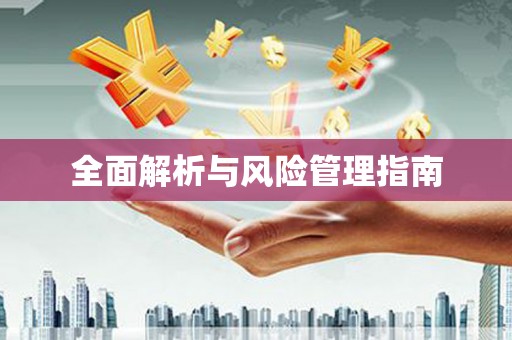 大武全面解析与风险管理指南