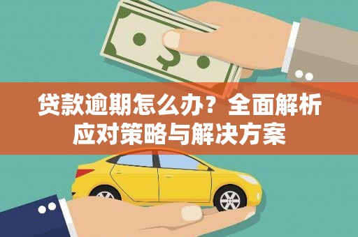 平舆贷款逾期怎么办？全面解析应对策略与解决方案