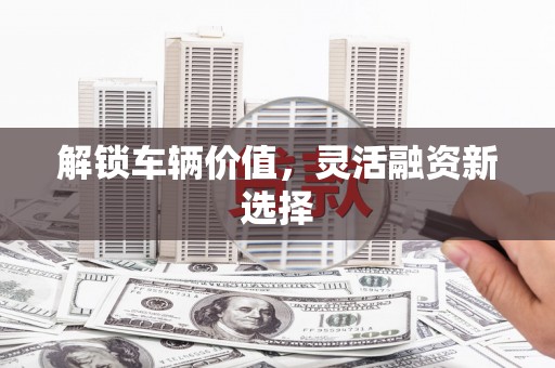江东解锁车辆价值，灵活融资新选择