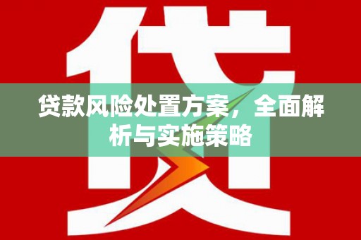凉山贷款风险处置方案，全面解析与实施策略