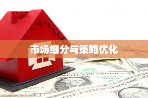 大里市场细分与策略优化