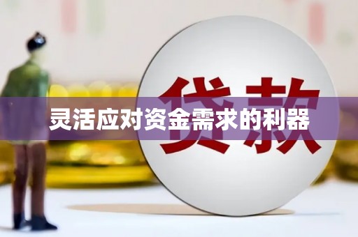 蛟河灵活应对资金需求的利器